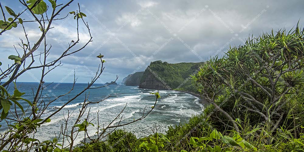 Along the Coast