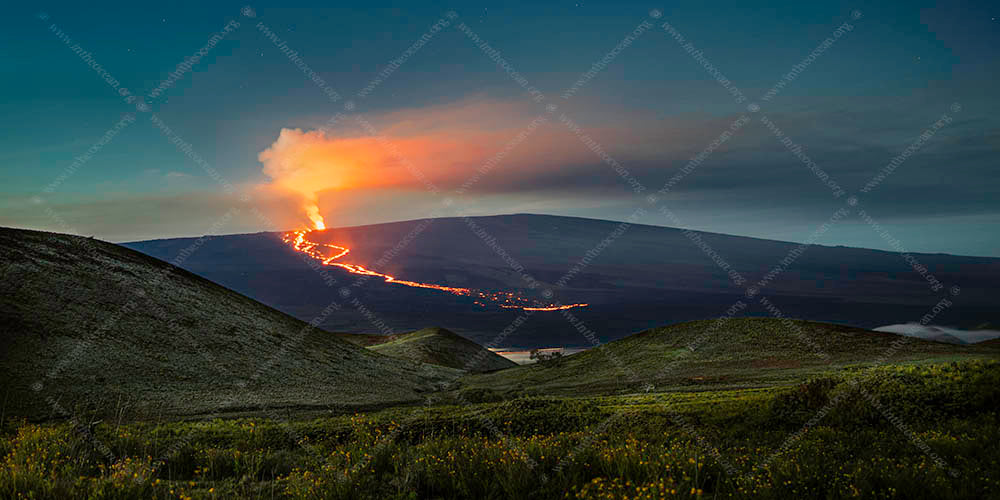 Volcanos and Flowers